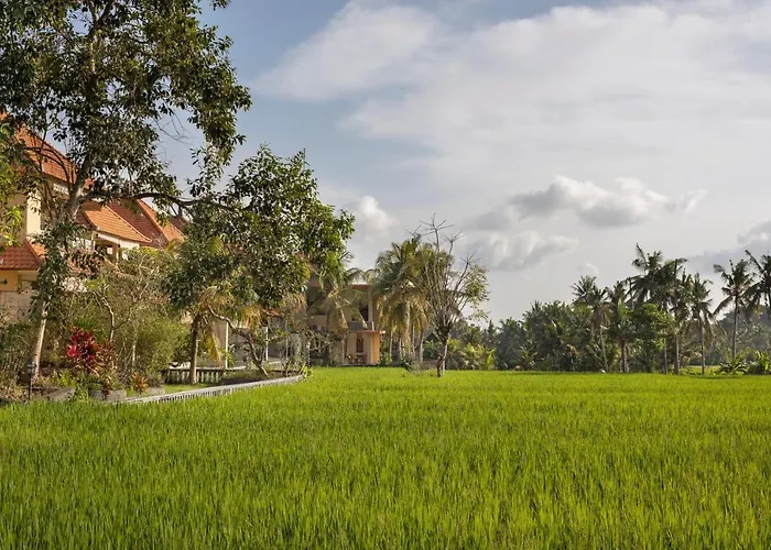 Field Hotel&restaurant Hotel