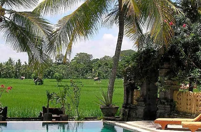Field Hotel&restaurant Hotel