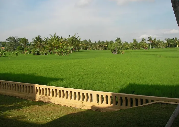 Hotel Field Hotel&restaurant Ubud
