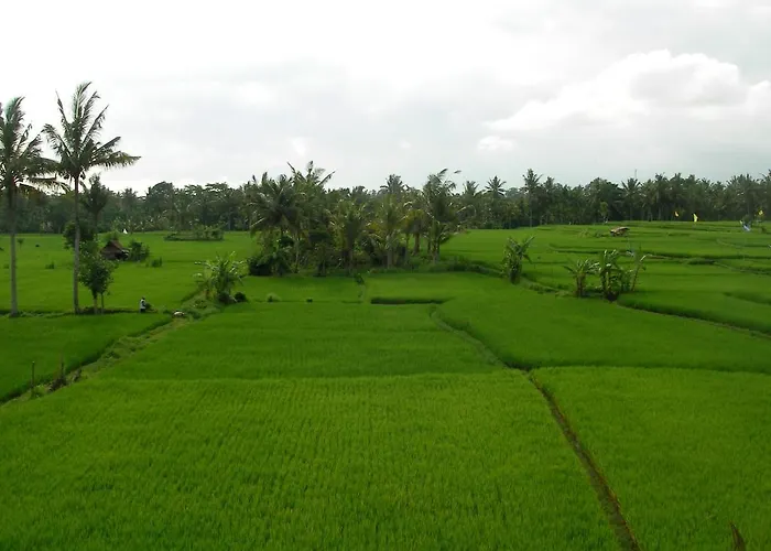 Field And Restaurant Otel 3*