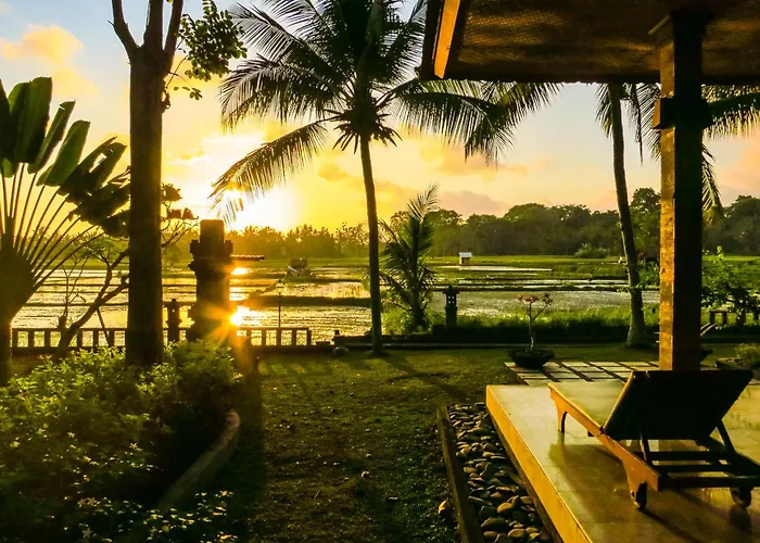 Field Hotel&restaurant Hotel Ubud